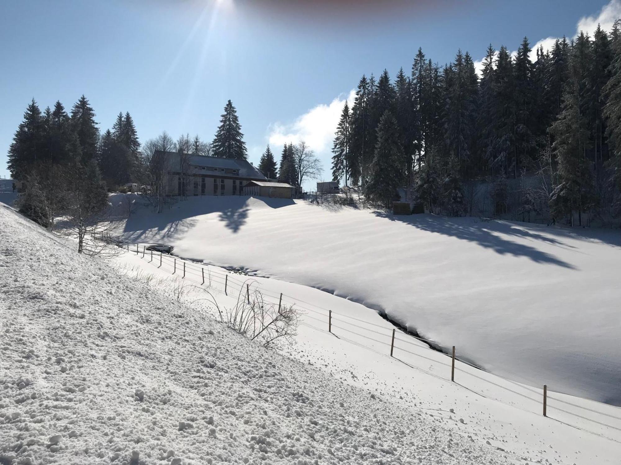 Hotel Waldhotel Auerhahn 